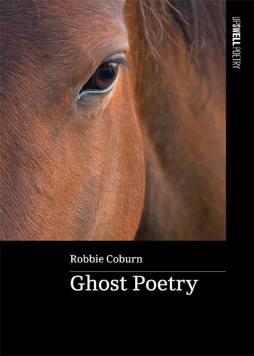 Ghost Poetry
